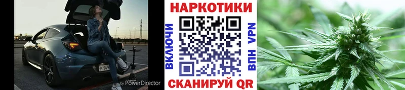 NBOMe Губкин