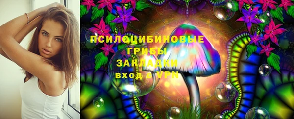 гашик Абаза