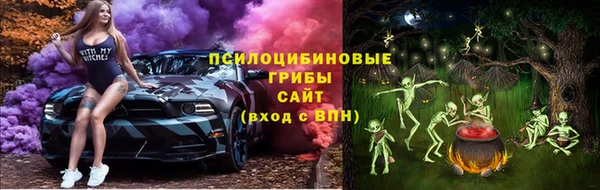 гашик Абаза