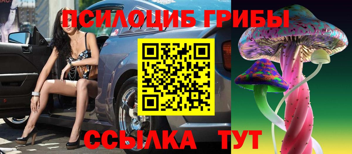 Псилоцибиновые грибы мухоморы Губкин