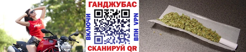 ОМГ ОМГ ссылки Губкин Марихуана сатива